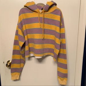 Urban Outfitters Striped Cropped Hoodie